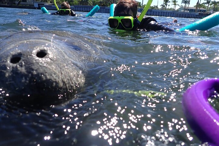 Private Manatee Snorkeling Tour - Photo 1 of 8